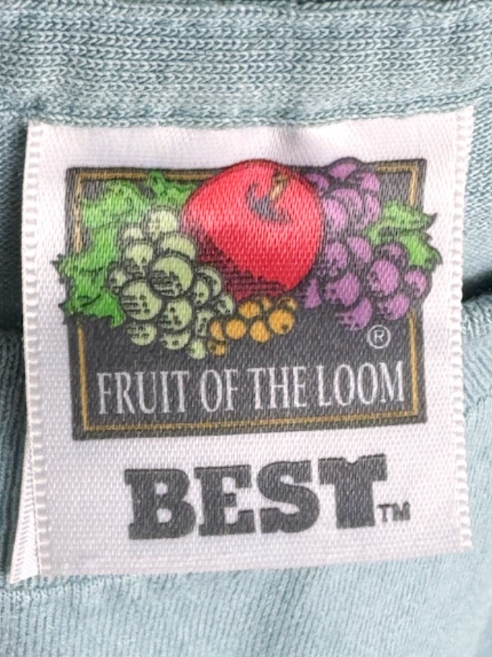 Vtg 90s Pigeon Forge TN Bird Floral Tee L 21x26 Teal Nature Fruit of the Loom - Picture 4 of 13